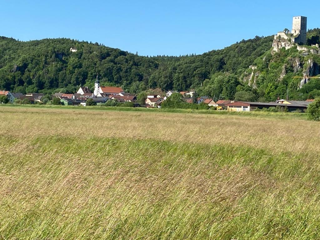 Ferienwohnung Im Wunderschoenen Altmuehltal Wellheim Kültér fotó
